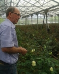 PUM Senior Expert Berry Verlaan's Training on Rose Cultivation