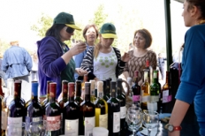 “Areni” Wine Festival