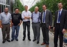 Business Link to the Netherlands